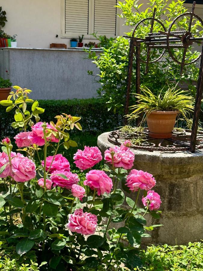Apartament Js House Shkoder 1 Zewnętrze zdjęcie